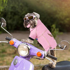 Dog Leather Jacket - Cute Leather Dog Jackets Motorcycle Clothes with Buttons Pet Waterproof Winter Coat for Small Medium Dogs(Pink, XL)