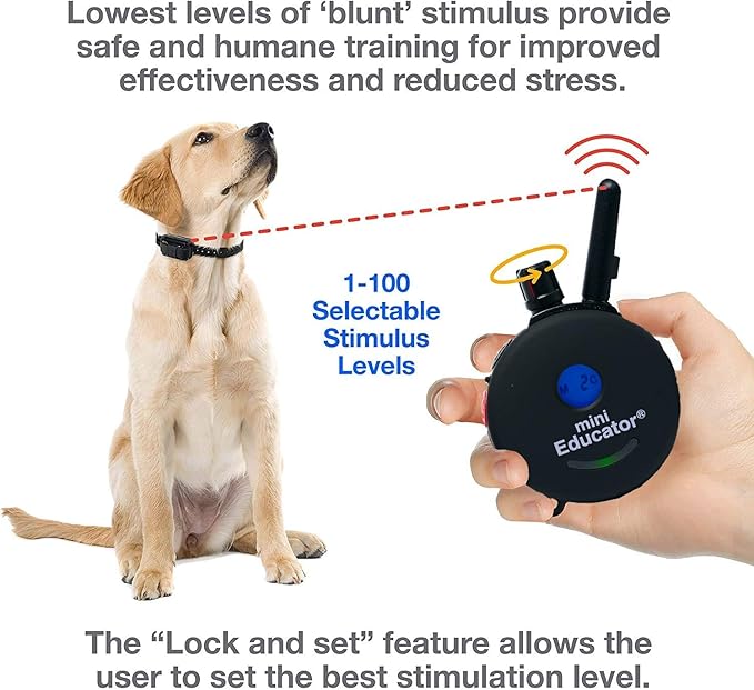 E-Collar ET-300 / ET-302 Dog Training Collar System with Remote - 1/2 Mile Range - Waterproof, Vibration, Sensation - Includes eOutletDeals Pet Towel (2 Dog System - ET-302 Black)