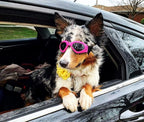 Petleso Dog Goggles Medium Breed, Small Dog Sunglasses Pet Eye Protection Windproof Anti-UV for Small to Medium Dogs, Pink