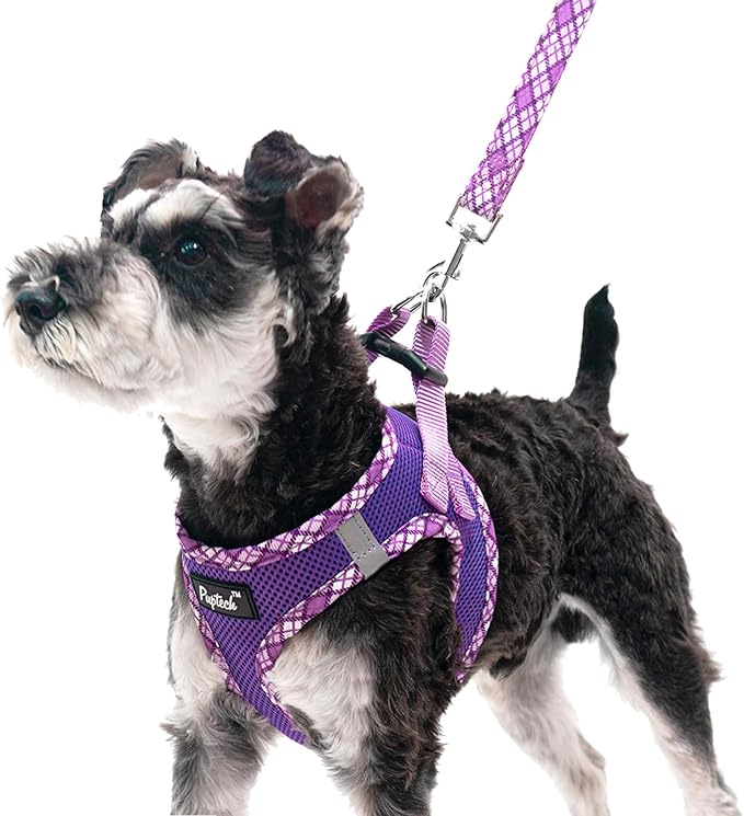 PUPTECK Dog Harness and Leash Set for Small Medium Dogs No Pull Step-in Soft Mesh Puppy Cat Vest Harnesses Reflective at Night, Purple L