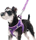 PUPTECK Dog Harness and Leash Set for Small Medium Dogs No Pull Step-in Soft Mesh Puppy Cat Vest Harnesses Reflective at Night, Purple L