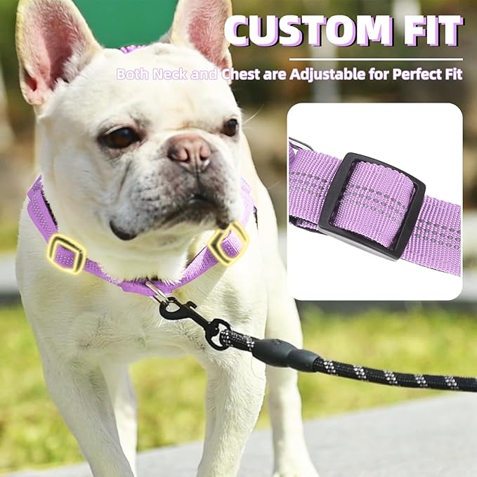 PUPTECK No Pull Dog Harness Small Sized Dog, Adjustable Reflective Pet Vest Harness with Bungee Handle, Escape Proof No Choke Harness for Small Dogs Walking Training, Purple M