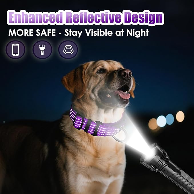 Martingale Collar for Dogs, Adjustable Soft Nylon Dog Collars with Special Design Cute Patterns (Purple, L (1" x 19"-26"))