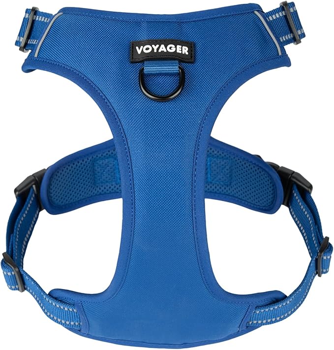 Voyager Dog Harness Dual Leash Attachment No-Pull Control Adjustable Soft but Strong Pet Harness for Medium and Large Dogs with 3M Reflective Technology, Royal Blue Lattice Nylon, L (Chest: 25-30")