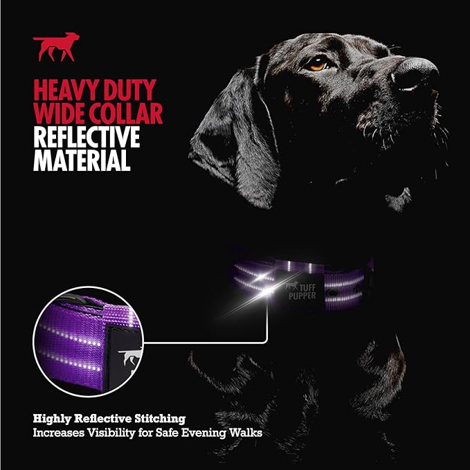 Tuff Pupper Heavy Duty Tactical Dog Collar | 1.25" Wide Ballistic Nylon | Reflective Stitching | Integrated ID Tag Holder | Stainless Steel Buckle | Padded Lining | Small & Medium Dogs (Purple, Small)