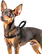 PUPTECK No Pull Dog Harness Small Sized Dog, Adjustable Reflective Pet Vest Harness with Bungee Handle, Escape Proof No Choke Harness for Small Dogs Walking Training, Black XS