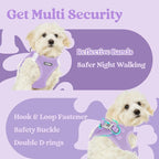 rabbitgoo Small Dog Harness, Step-in Soft Mesh Puppy Vest with Safety Buckle, Breathable Reflective Pet Harness for Small Medium Dogs, Light Purple XL