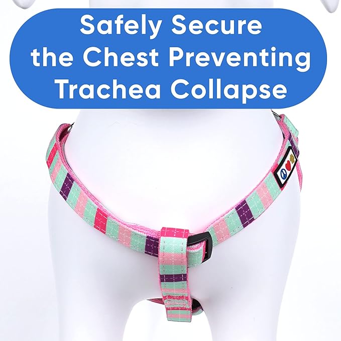 Pawtitas Multicolor Step-in Dog Harness – Adjustable No-Pull Vest for Puppies to Seniors, Safe & Comfortable XS Teal/Pink/Purple