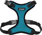 Voyager Step-in Pet Harness - All Weather Mesh, Adjustable Step in Harness for Cats and Dogs by Best Pet Supplies - Turquoise/Black Trim, S