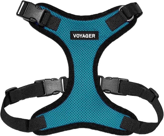 Voyager Step-in Pet Harness - All Weather Mesh, Adjustable Step in Harness for Cats and Dogs by Best Pet Supplies - Turquoise/Black Trim, XS