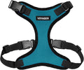 Voyager Step-in Pet Harness - All Weather Mesh, Adjustable Step in Harness for Cats and Dogs by Best Pet Supplies - Turquoise/Black Trim, XS