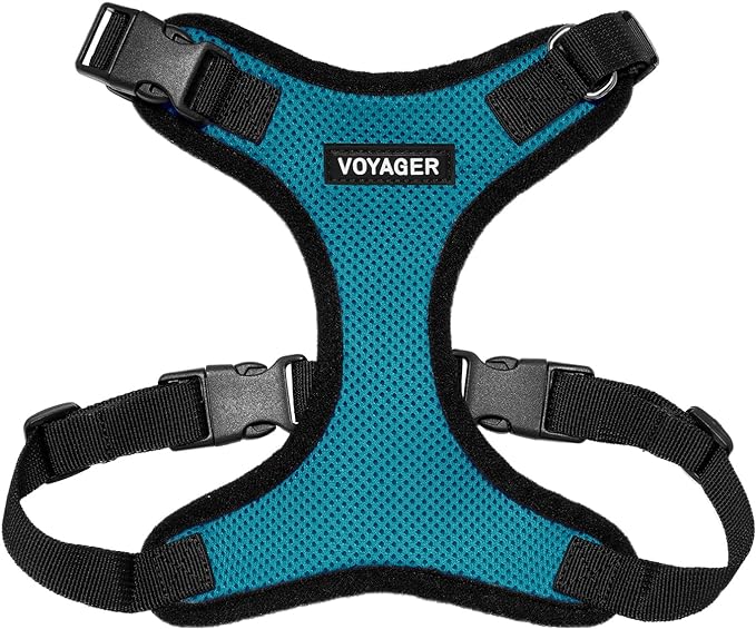 Voyager Step-in Pet Harness - All Weather Mesh, Adjustable Step in Harness for Cats and Dogs by Best Pet Supplies - Turquoise/Black Trim, XL