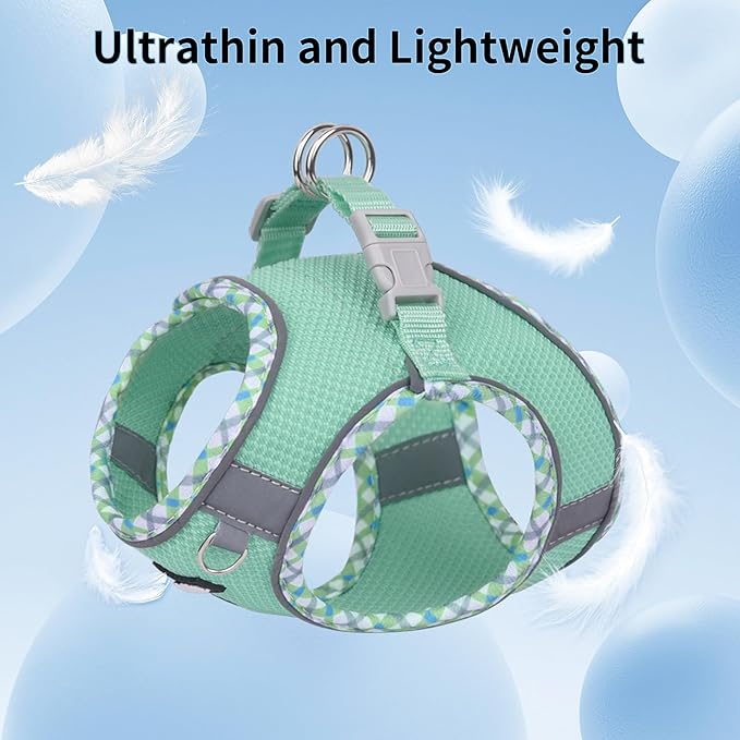 AIITLE XXS Dog Harness & Leash Set - Breathable Reflective No-Choke Small Dog Harness for Teacup Puppies, Indoor/Outdoor Use - Boston Terrier, Maltese, Chihuahua (Turquoise, XXS)