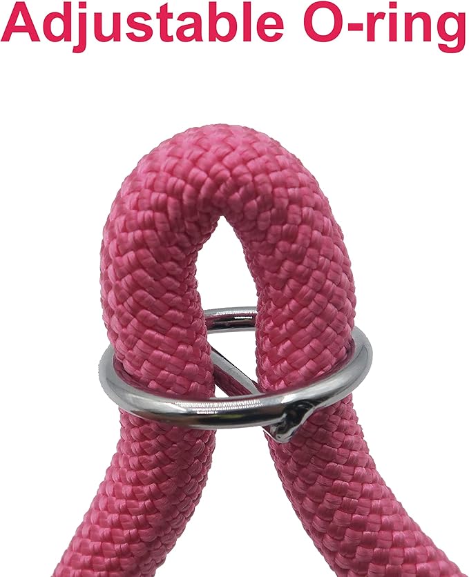Braided Round Martingale Dog Collar, Training Collar with Slidable Stop Ring - Ideal for Small Medium Dogs (M- (1/3") - 18" Long, Pink)