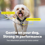 PetSafe 3-in-1 Harness with Two-Point Control Leash - Custom Fit Durable Obedience Gear for Gentle Behavior Training to Reduce Leash Pulling - Breathable Padded Design - Medium - Black