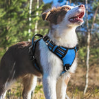 rabbitgoo Dog Harness Medium Sized, No Pull Dog Vest with 3 Buckles, Adjustable Soft Padded Pet Harness with Easy Control Handle and Reflective Strips, Blue, M