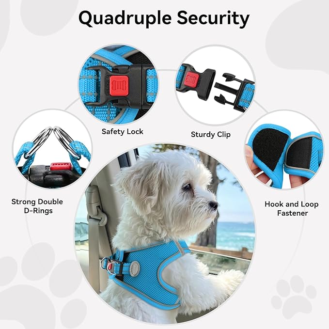 Joytale Small Dog Harness, Breathable Mesh Step-in Vest, Reflective Soft Padded Harnesses for Puppies and Extra Small Dogs, Sky Blue, XS