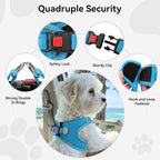 Joytale Small Dog Harness, Breathable Mesh Step-in Vest, Reflective Soft Padded Harnesses for Puppies and Extra Small Dogs, Sky Blue, XS
