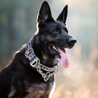 Martingale Dog Collar with Steel Chain, Adjustable Reflective Nylon & Soft Padded - for Medium, Large, XL, XXL Dogs for Training,Walking Pet Collar (Purple Flowers XL)
