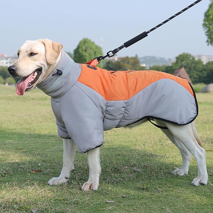 Waterproof Dog Coat for Large Dogs, Winter Warm Jacket with Adjustable Turtleneck, Reinforced D-Ring, Full Front Zipper & Elastic Leg Bands, Windproof Snowsuit Reflective Strip (Grey Orange, 5XL)