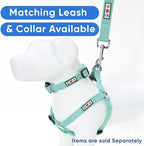 Pawtitas Reflective Step-in Dog Harness – Adjustable No-Pull Vest for Puppies to Seniors, Safe & Comfortable, S Teal