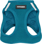 Best Pet Supplies Voyager Step-in Air Harness - All Weather Mesh, Reflective, No Pull Harness for Dogs, Cats - Secure with Hook & Loop Fastener, Buckle, Double D-Rings - Turquoise, XL