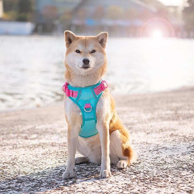 PHOEPET No Pull Dog Harness, Unique Colors Reflective Adjustable Dog Vest, with Soft Training Handle Metal Clips for Small Medium Large Dogs (Mint Green Base & Pink Straps,L)