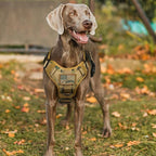 rabbitgoo Tactical Dog Harness for Large, Heavy Duty Pet Harness with Handle, No-Pull Service Vest Large Breed, Adjustable Military Dog Vest for Training Hunting Walking, Brown Camo, L