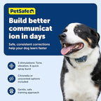 PetSafe Remote Spray Trainer, Dog Training Collar - 3 Modes: Tone, Vibration or Spray - Rechargeable and Water-Resistant Includes Citronella and Unscented Spray Refills - 300 Yards (900 Feet) Range
