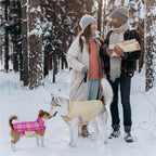 Kuoser Warm Dog Coat, Waterproof Dog Jacket for Extra Large Dogs, Adjustable Durable XL Doggie Winter Coat Reversible Cozy Puppy Cold Weather Apparel from Small to Large Breed, Rose XL