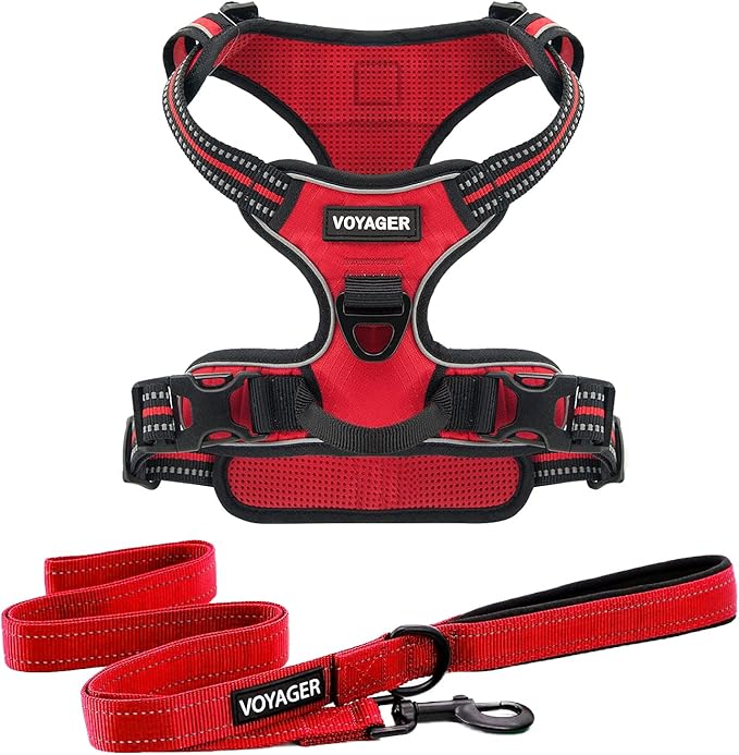 Voyager Dog Harness Dual Leash Attachment No-Pull Control Adjustable Soft but Strong Pet Harness for Medium and Large Dogs with 3M Reflective Technology, Leash Set Red Nylon, S (Chest: 16-20")