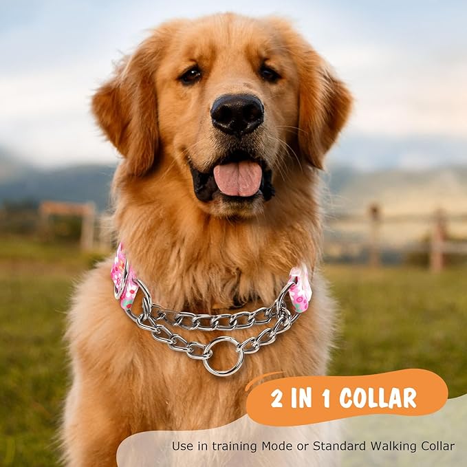 Martingale Dog Collar with Steel Chain- No Pull Escape-Proof Training Choker for Medium, Large & XL Dogs | Heavy Duty Anti-Slip Cinch Collar for Large Breed Pets, Pink (Size L)