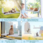 L&W BROS. 3Pc Heavy Duty Cat Window Perch, 50lb Load Foldable Hammock with Strong Suction Cups, Window Bed for Large & Multiple Cats (M 3Pc)