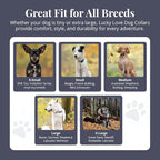 Lucky Love Dog - Adjustable Dog Collar with Easy Click Buckle for Large Ones, Durable, & Comfortable for Male & Female Dogs, Pet Collar for Puppies & Adult Dogs - Ladybird, Large