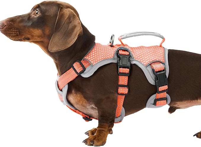 Huntboo Escape Proof Dog Harness, Escape Artist Harness, Reflective Dog Harness with Handle, Durable,Adjustable Vest for Small Medium Large Dogs Walking, Training, and Running Gear(Orange,S)