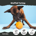 Barkbox BARK Stuffed Turkey Dog Toy | Natural Rubber, Treat Dispensing, Perfect for Peanut Butter | Dog Toy for Aggressive Chewers