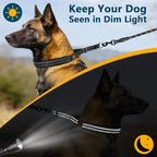 Crazy Felix No Pull Martingale Collar for Large Medium Small Dog Pitbull German Shepherd Doberman, Dog Collar Anti Pull with Buckle for Training Walking (Black, XXL-Neck 22-24.75", 1.5" Wide)