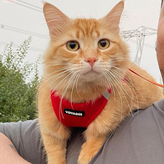 Best Pet Supplies Voyager Step-in Air Harness - All Weather Mesh, Reflective, No Pull Harness for Dogs, Cats - Secure with Hook & Loop Fastener, Buckle, Double D-Rings - Red, XXS