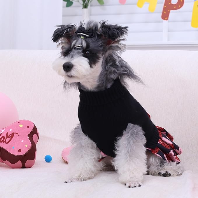 CuteBone Core Spun Dog Sweater Dress for Small Dogs Girl, Wild Heart Embroidery Turtleneck Medium Dog Sweater with Leash Hole, Dog Coat for Chihuahua Yorkie Teacup DS103XS