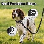 Joytale Tactical Dog Collar for Medium Dogs with Control Handle, Heavy Duty Military Training Collar for Power Breeds, AirTag Holder Case, Quick Release Metal Buckle, Soft Padded, M, Black