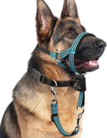 BARKLESS No Pull Dog Head Collar for Gentle Training Walking, Soft Padded Head Halter with Collar Safety Clip, Comfortable Fit Muzzle Leash with Reflective Strap for Medium Large Dog (Blue, M)