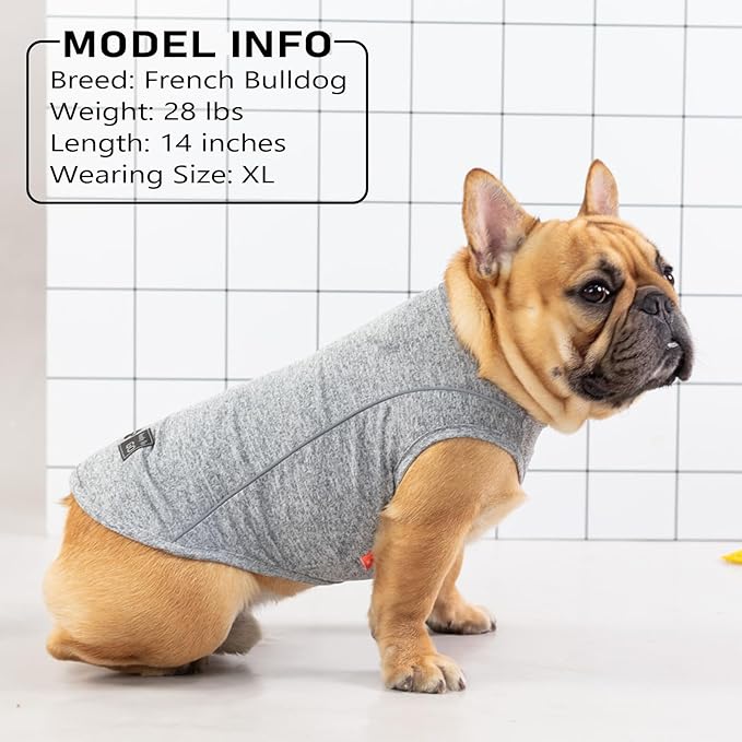 KYEESE Reflective Dog Shirt, Lightweight Sun Protection Dog T Shirts for Small Dogs Girl, Breathable Sleeveless Pet Tank Top Summer Dogs Clothes for Night Walking Outdoor, Rose Red, M