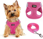 Dog Harness for Small Dogs and Leash Set, Honeycomb Grid, Reflective Lightweight Harness & Anti-Twist Pet Lead (Multi Color, Size: XS-S-M) (M, Rose red)
