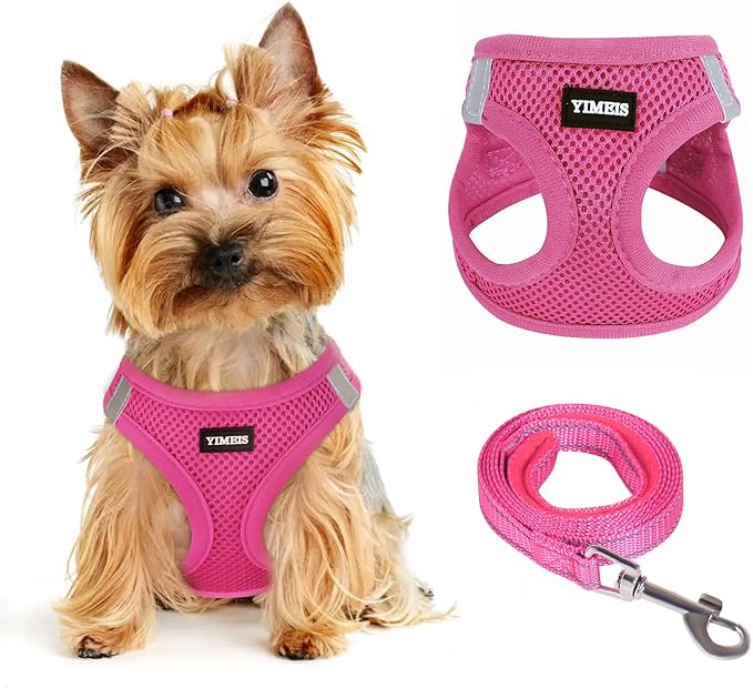 Dog Harness for Small Dogs and Leash Set, Honeycomb Grid, Reflective Lightweight Harness & Anti-Twist Pet Lead (Multi Color, Size: XS-S-M) (S, Rose red)