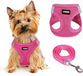 Dog Harness for Small Dogs and Leash Set, Honeycomb Grid, Reflective Lightweight Harness & Anti-Twist Pet Lead (Multi Color, Size: XS-S-M) (S, Rose red)