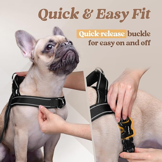 rabbitgoo Dog Harness No Pull, Quick Fit for Small Dogs with Soft Padded Handle, Chest Adjustable Reflective Pet Vest, No Choke Escape Proof for Walking Training, Black S