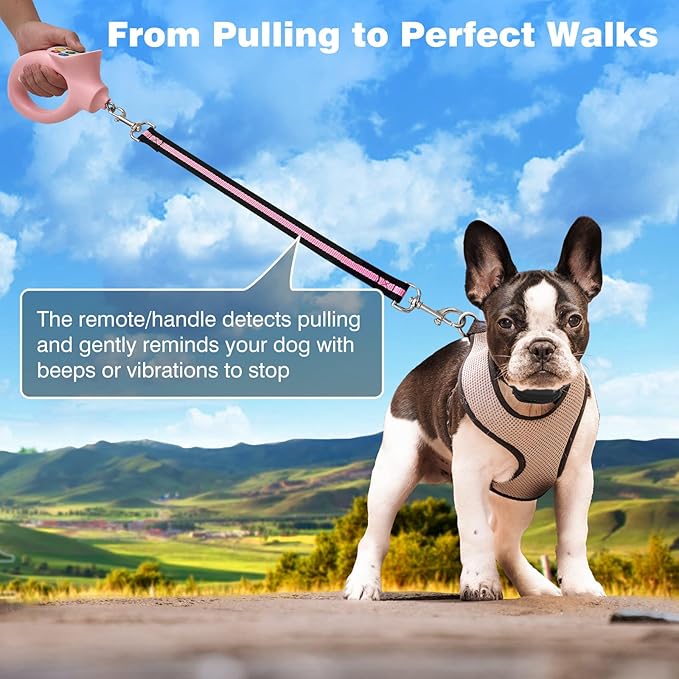 PaiPaitek No-Pull Dog Training Collar with Remote - Automatic Anti-Pull Sensor with 3 Training Modes (Beep/Vibration/Shock) for Effective Leash Training and Behavior Correction