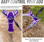 BARKBAY No Pull Dog Harness Front Clip Heavy Duty Reflective Easy Control Handle for Large Dog Walking(Violet Purple & Purple,S)