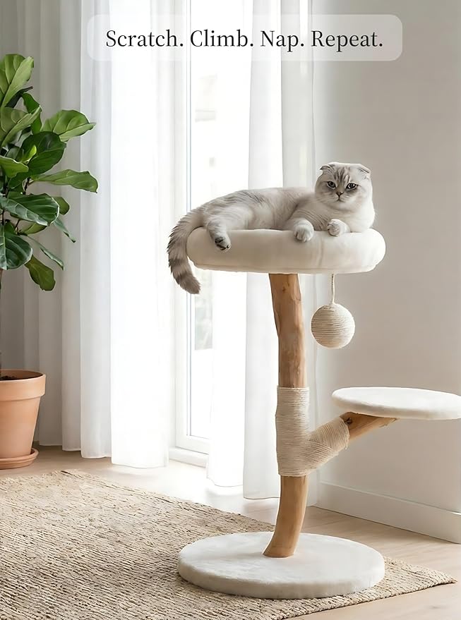 LEO & LEXI Real Wood Modern Cat Tree Tower, Cat Scratching Post with Bed for Small Indoor Cats, Solid Wooden Climbing Tower, Aesthetic Stand, Boho Luxury Pet Furniture