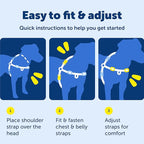 PetSafe Deluxe Easy Walk Harness - Trainer-Trusted Dog Chest Harness with Breathable Martingale Loop Design - Helps Stop Pulling with No Choking & Gagging - Small - Ocean